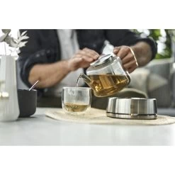 Zwilling Teekanne Mit Stövchen 800 Ml 9 Zwilling Teekanne Mit Stövchen 800 Ml -Zwilling Store 424419687