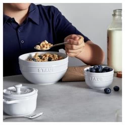 Staub Förmchenset 2-tlg 10 Staub Förmchenset 2-tlg -Zwilling Store 750057843